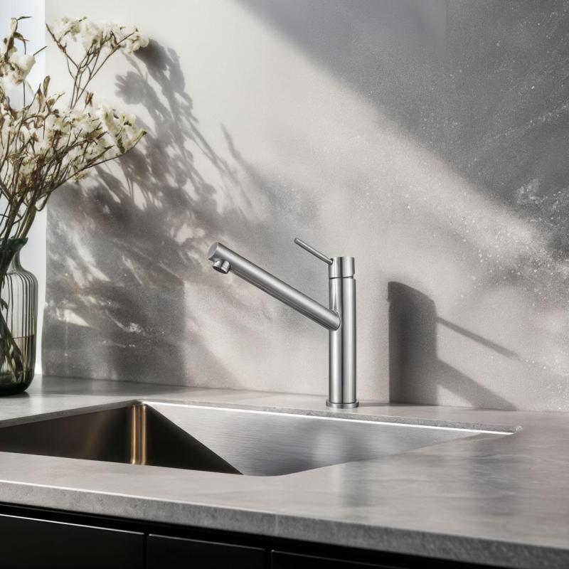 Franke Orbit massiv rustfrit stål høj køkkenarmatur med drejelig tud inox 115.0600.928